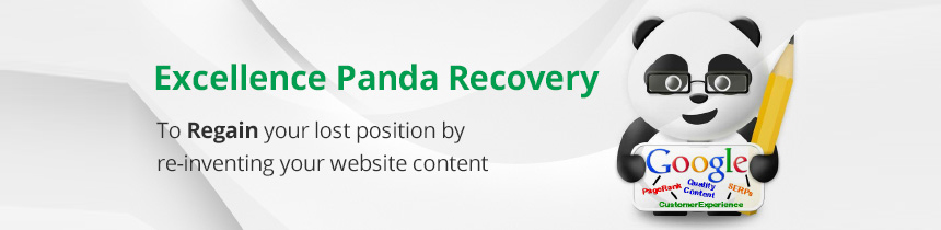 Panda-Recovery-Services-in-Chennai